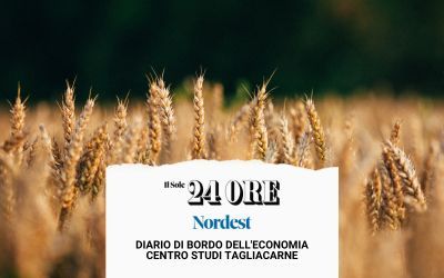 Nord-est: boom dell’export agricolo verso la Francia +41% Centro Studi Tagliacarne Sole 24 Ore