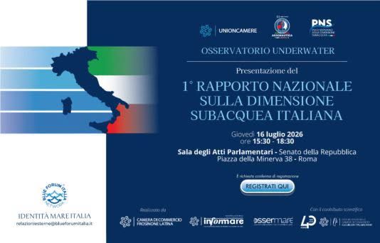 Immagine di copertina per «»